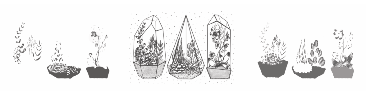 Screen Shot 2018-11-30 at 11.16.13