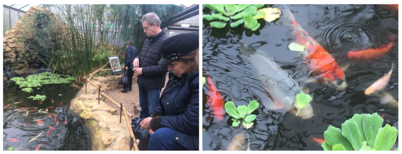 Screen Shot 2019-03-01 at 13.03.07