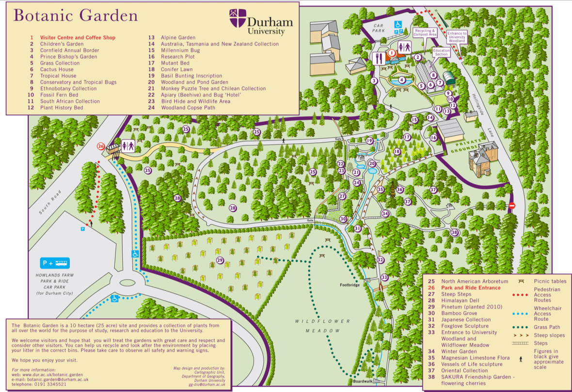 Screen Shot 2019-03-01 at 13.31.20