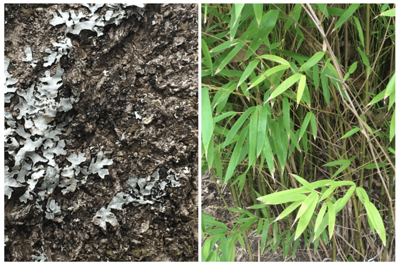 Screen Shot 2019-03-01 at 13.47.46