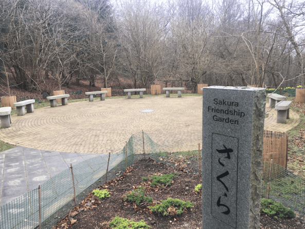 Screen Shot 2019-03-01 at 14.06.28